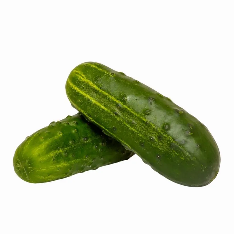 pepino-caipira Pepino Caipira Kg - Imagem 1